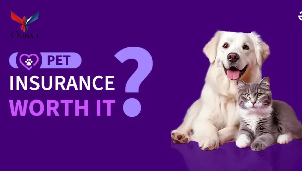 Is Pet Insurance Worth It? What You Should Know